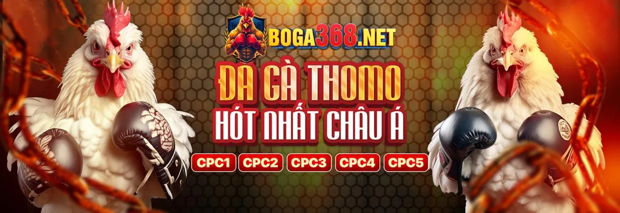 Đa dạng các trò chơi casino tại Zalv 456